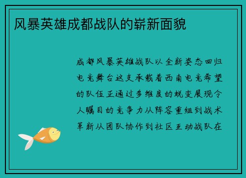 风暴英雄成都战队的崭新面貌