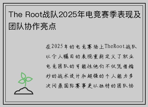 The Root战队2025年电竞赛季表现及团队协作亮点